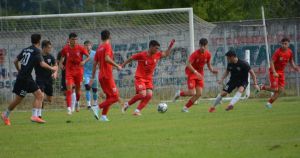 asteras karditsas-miltiadhs 12